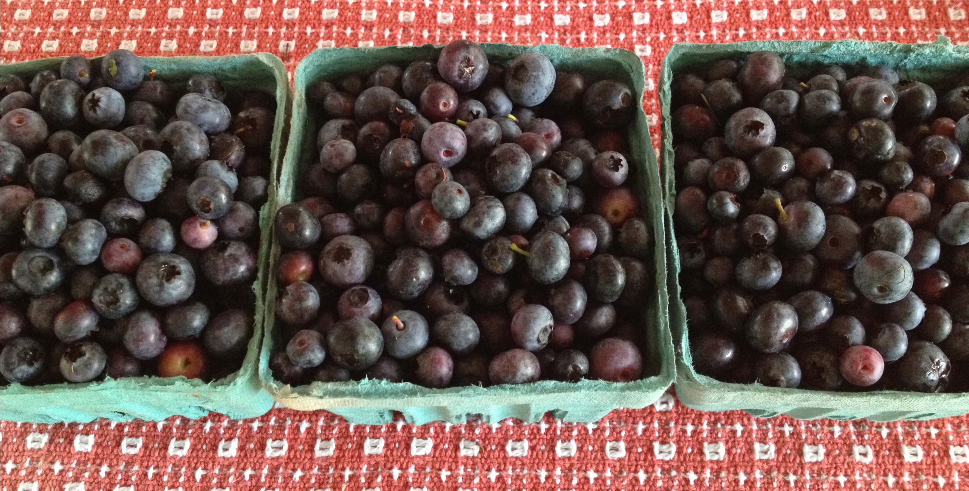 Locally grown blueberries in cartons.