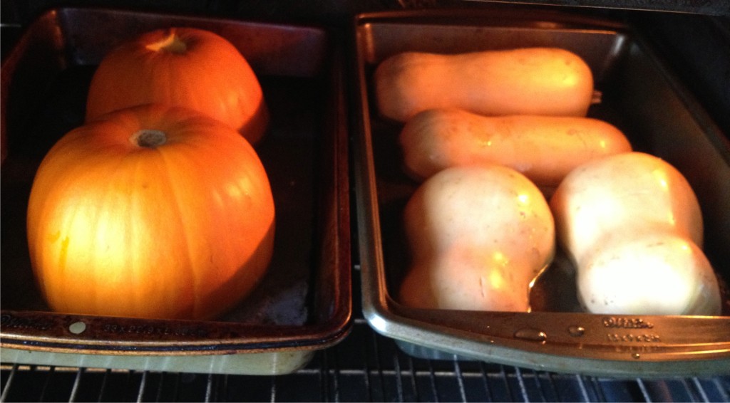 Oven-roasting butternut squash and sugar pumpkins
