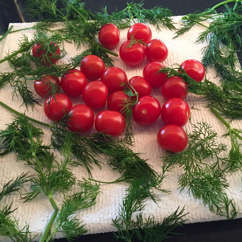Tomatoes and dill air drying on a white paper towel.
