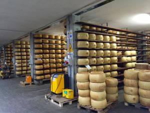 Canti Cheese with huge wheels of Parmigiano.