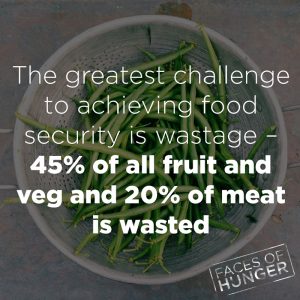 Food Security Waste Fact