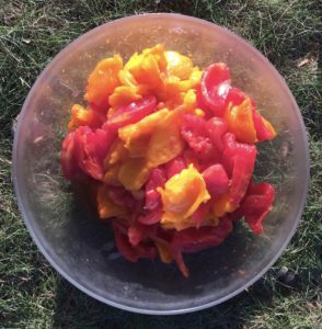 Deseeded tomatoes in a plastic bowl on the grass.
